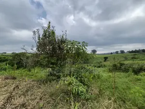 3 Acres of Land for Sale in Riara Ridge,Tigoni at KSHS