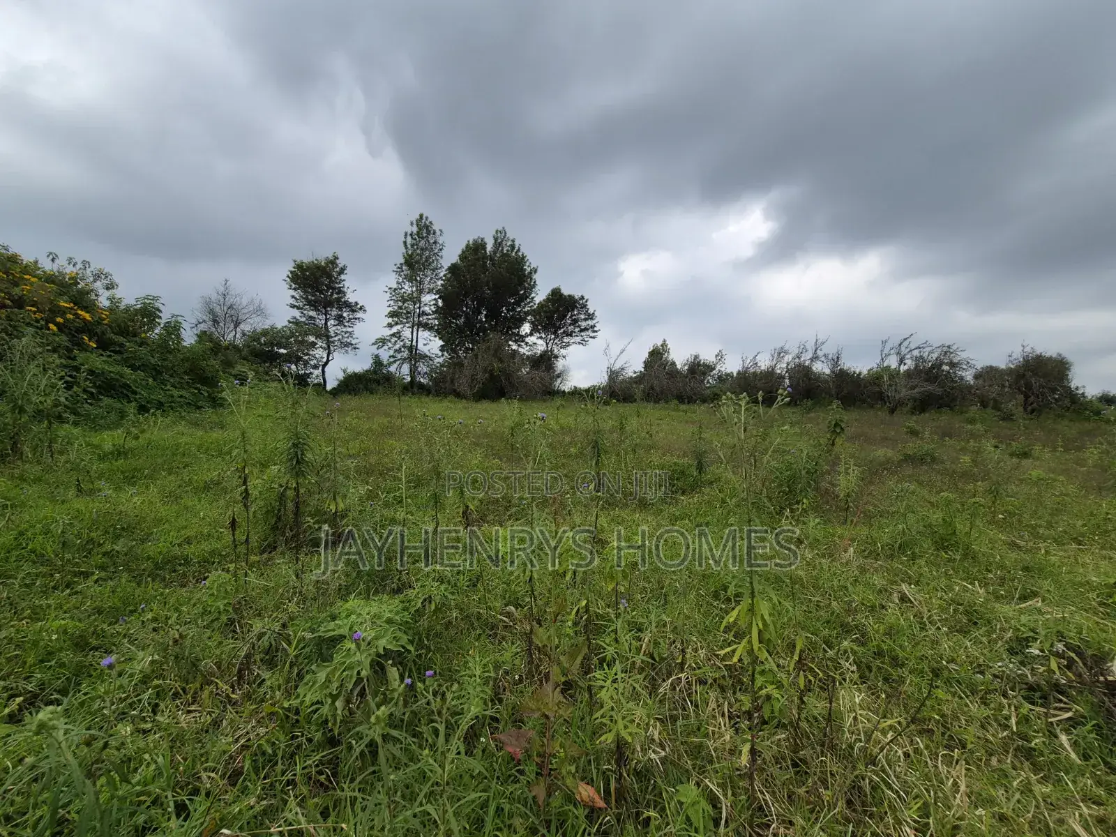 3 Acres of Land for Sale in Riara Ridge,Tigoni at KSHS