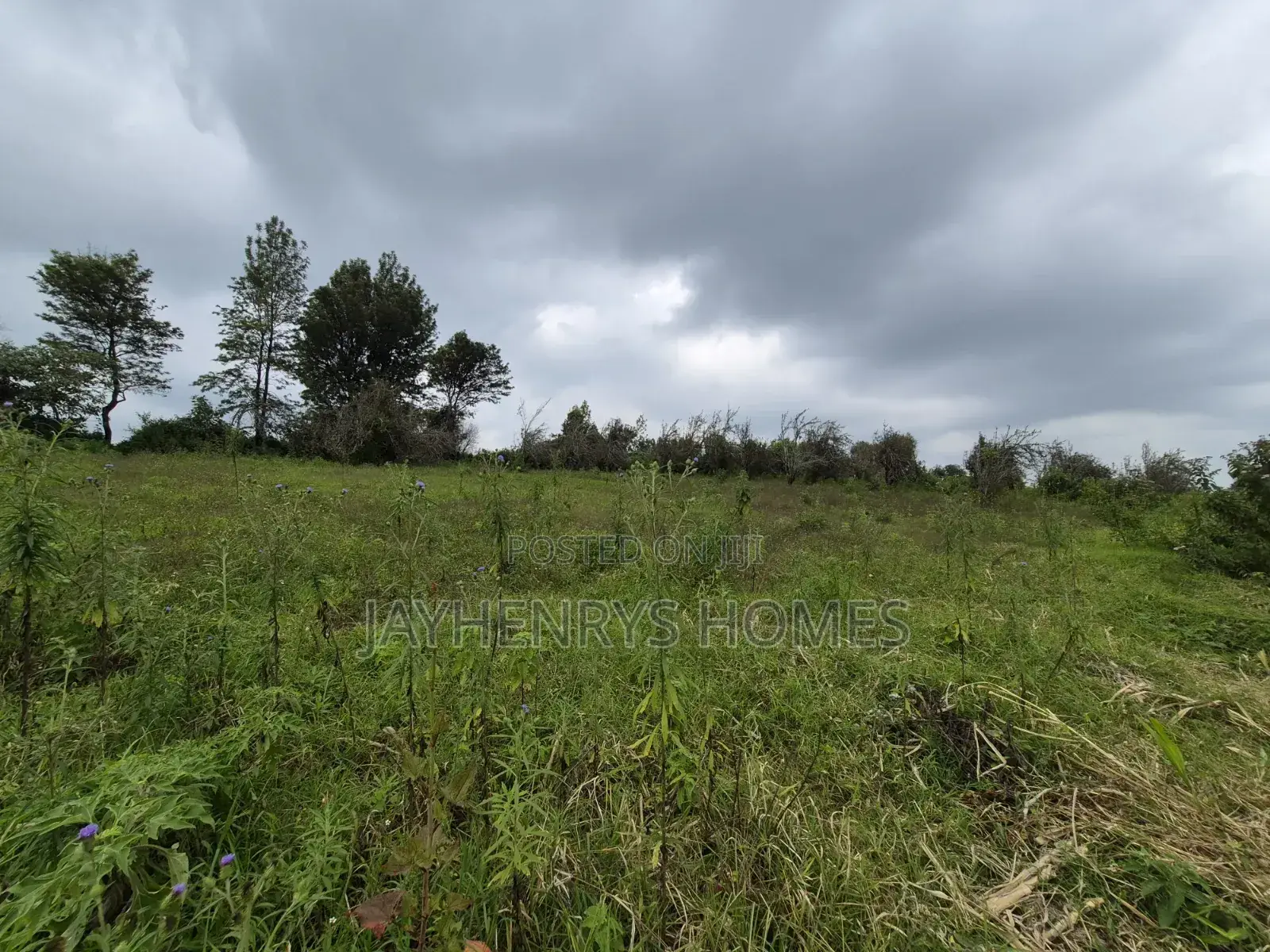 3 Acres of Land for Sale in Riara Ridge,Tigoni at KSHS