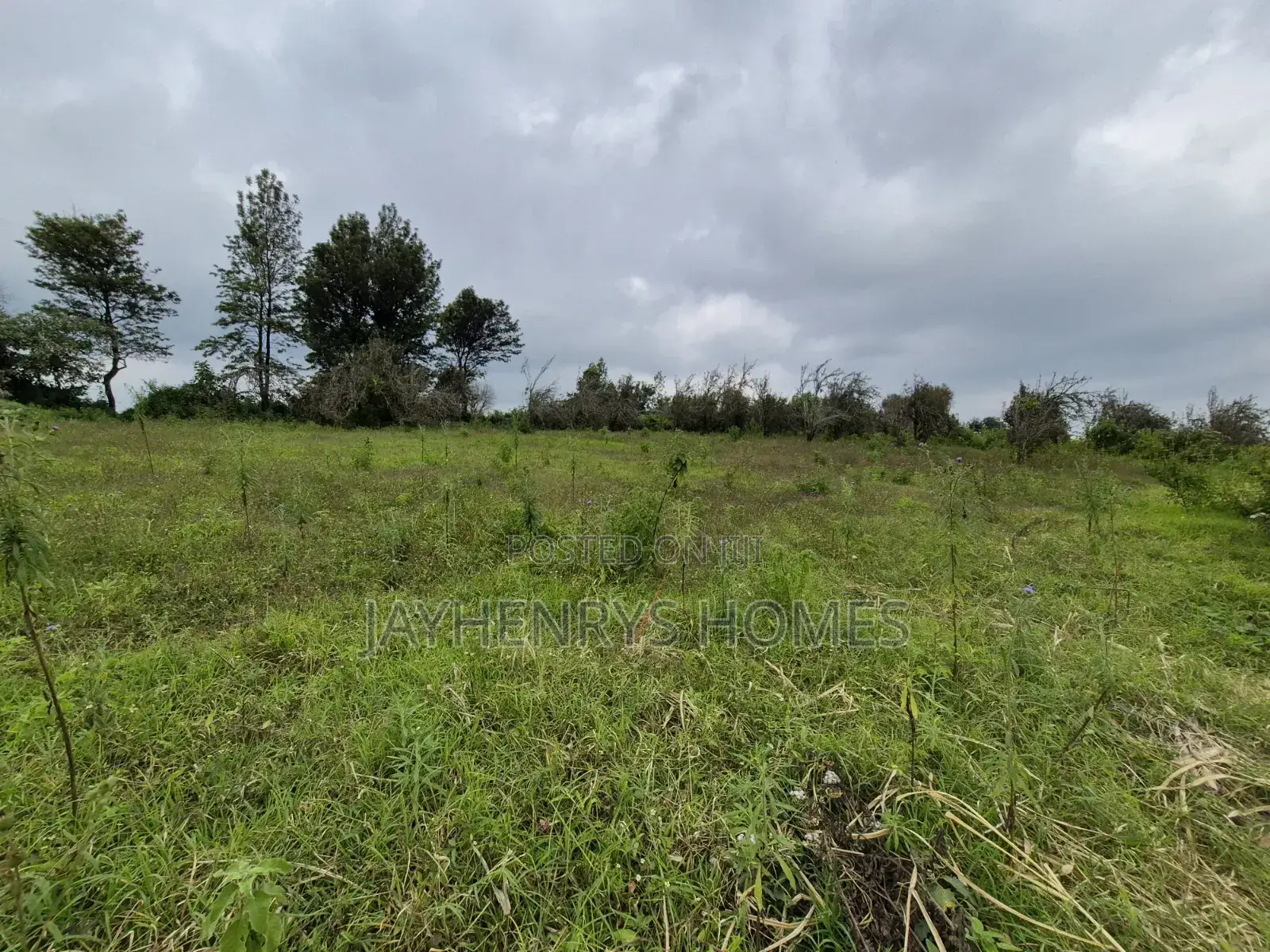 3 Acres of Land for Sale in Riara Ridge,Tigoni at KSHS