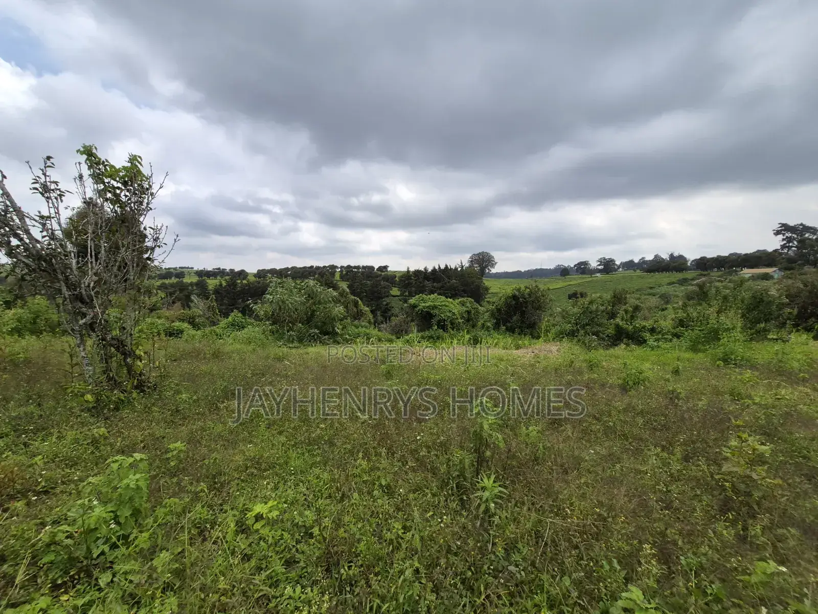 3 Acres of Land for Sale in Riara Ridge,Tigoni at KSHS