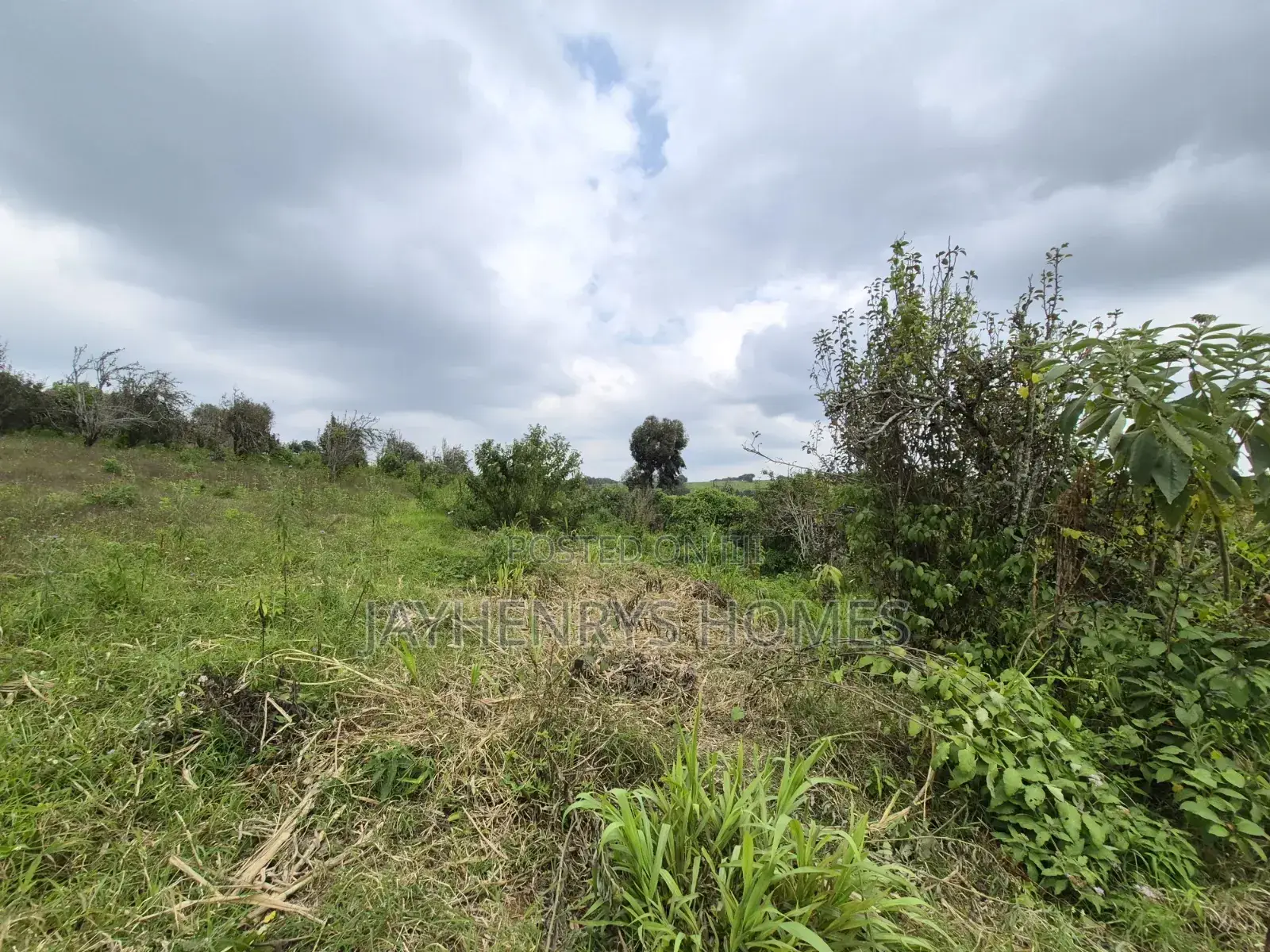 3 Acres of Land for Sale in Riara Ridge,Tigoni at KSHS