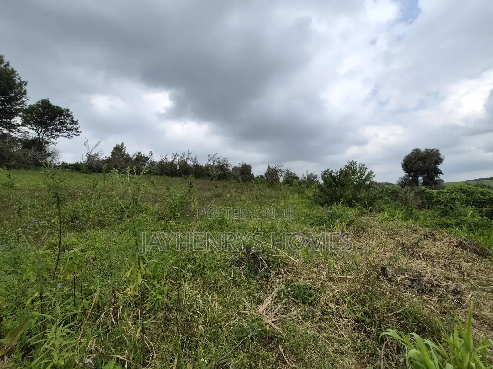 3 Acres of Land for Sale in Riara Ridge,Tigoni at KSHS