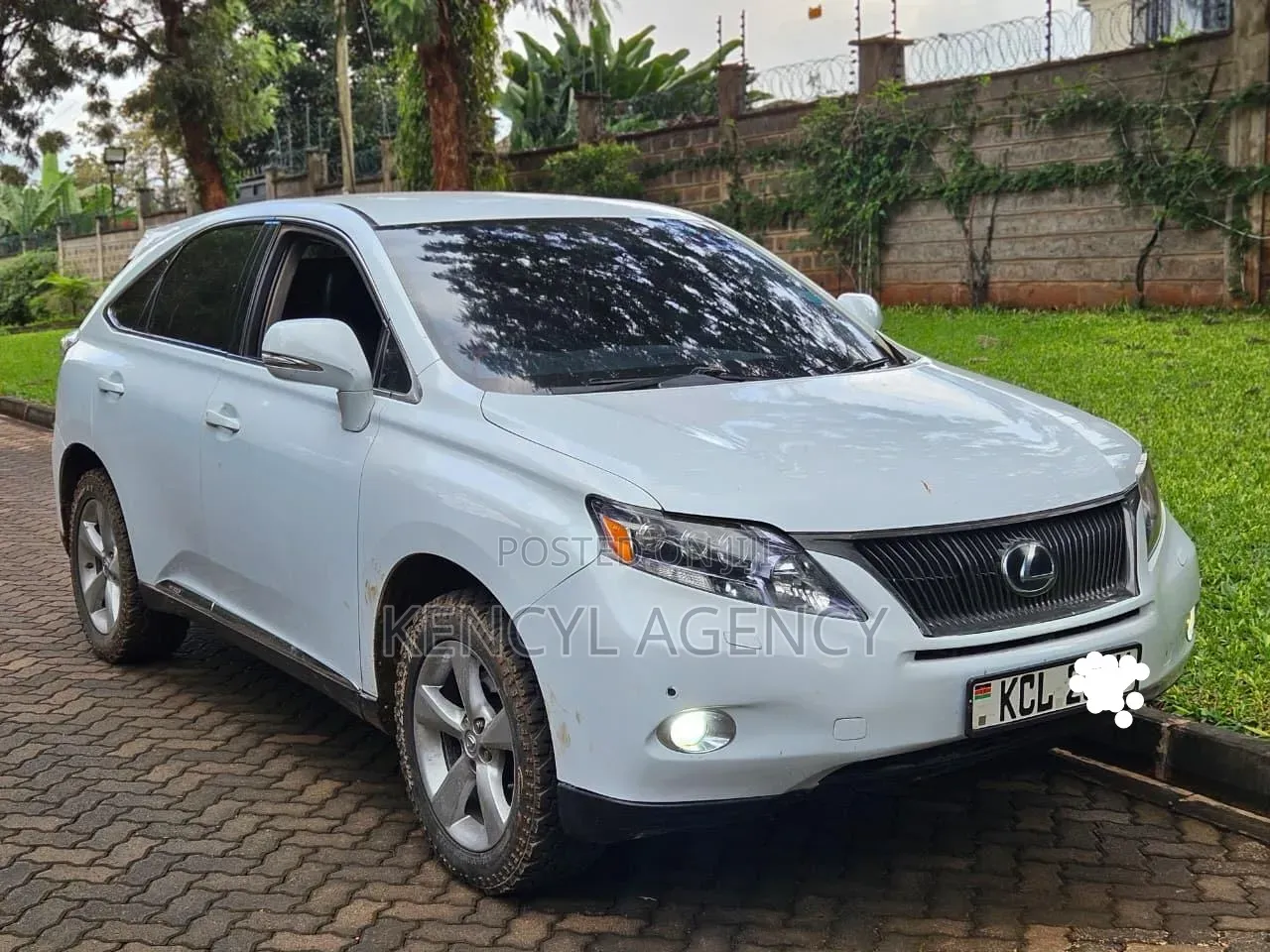 Lexus RX 2010 White