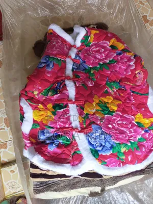 Kids Jackets