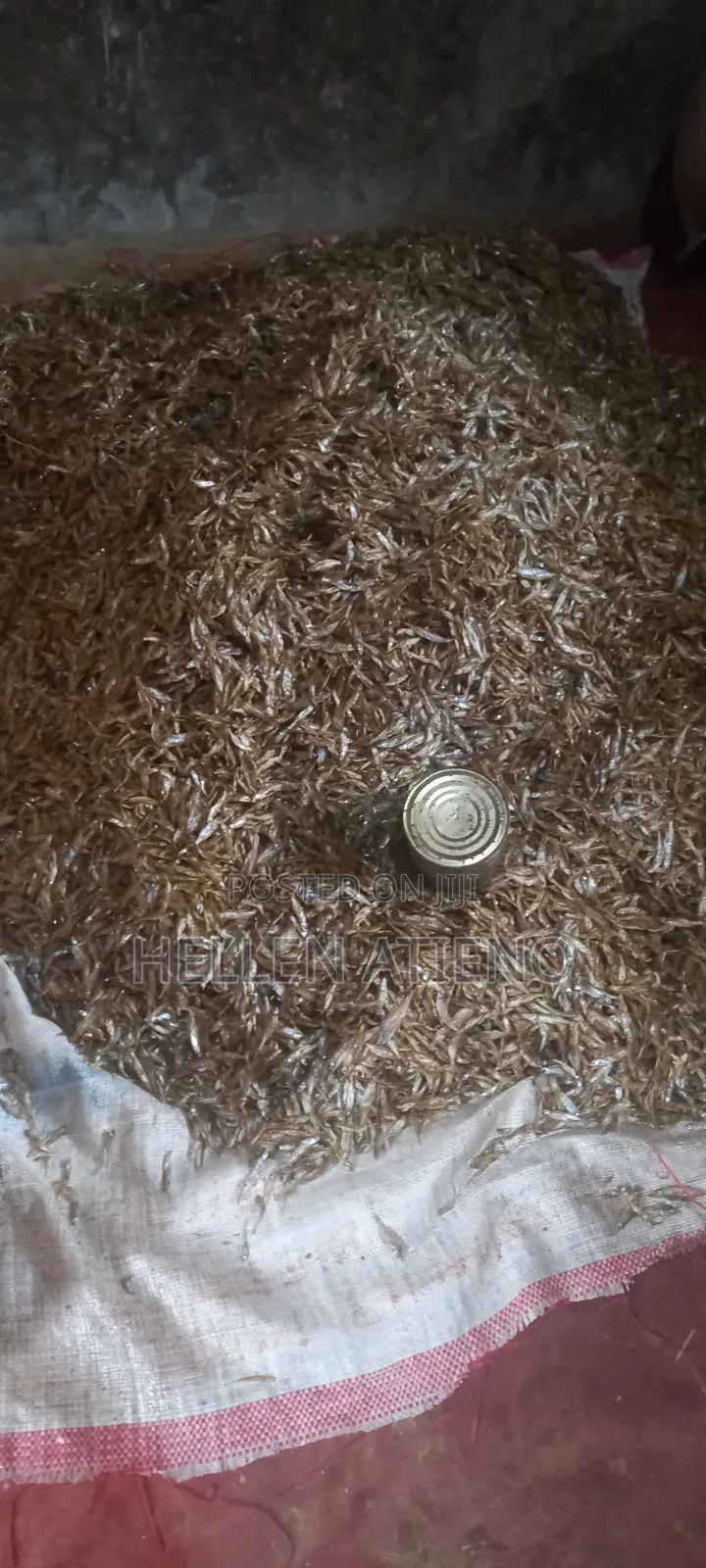 Fresh Omena for Sale