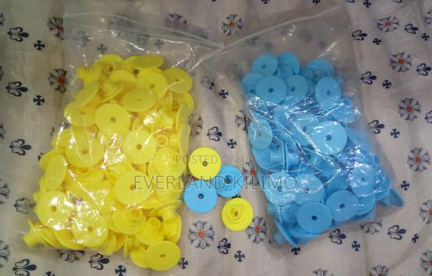 Round Livestock Ear Tags - Plain - main view