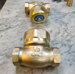 Lirlee Non-Return Valve 1/2"