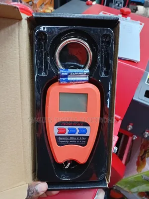 Top Compliant 200kg Mini Crane Scale