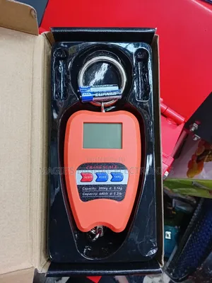 Top Guarantee 200kg Mini Crane Scale