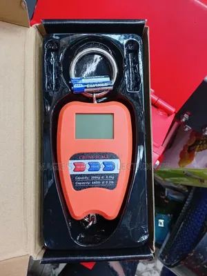 Most Affordable 200kg Mini Crane Scale