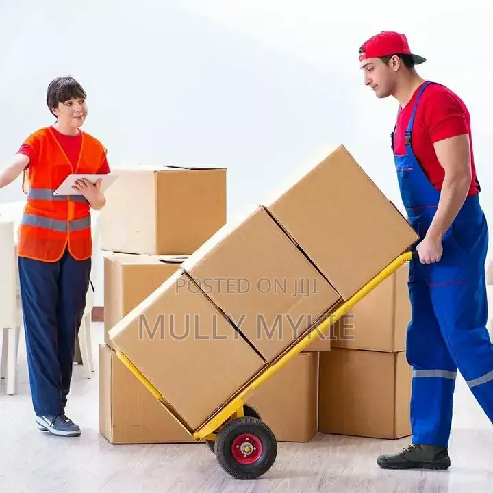 Professional Movers Services