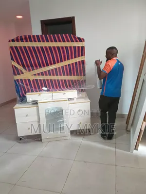 Professional Movers Services