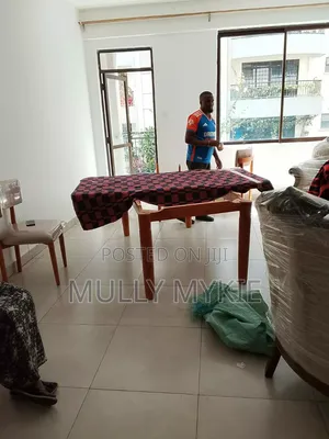 Professional Movers Services