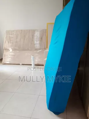 Professional Movers Services