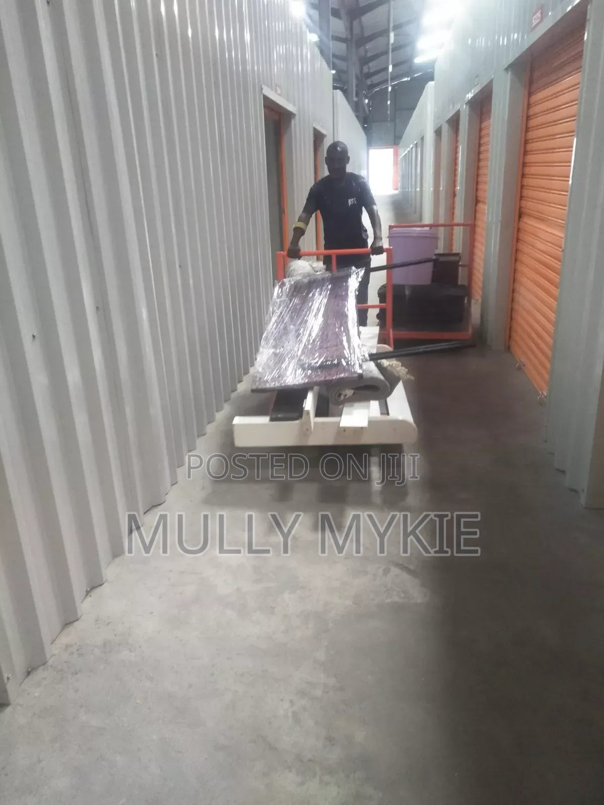 Professional Movers Services