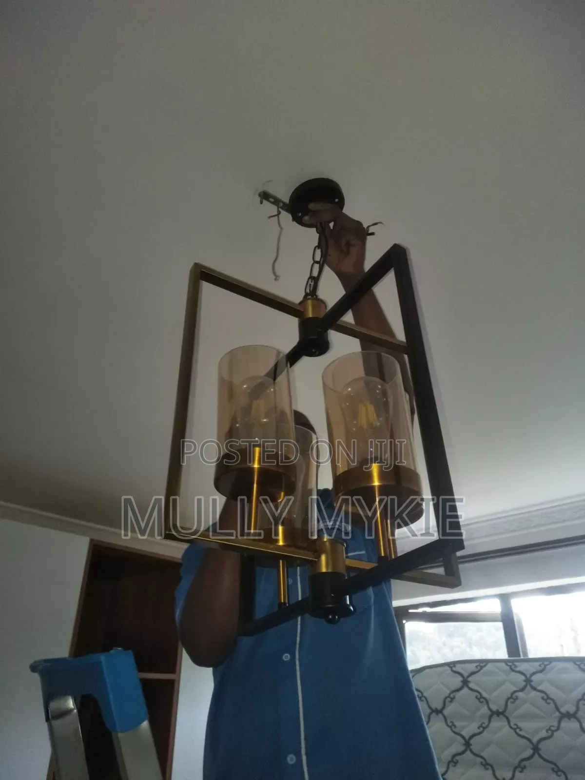 Professional Movers Services