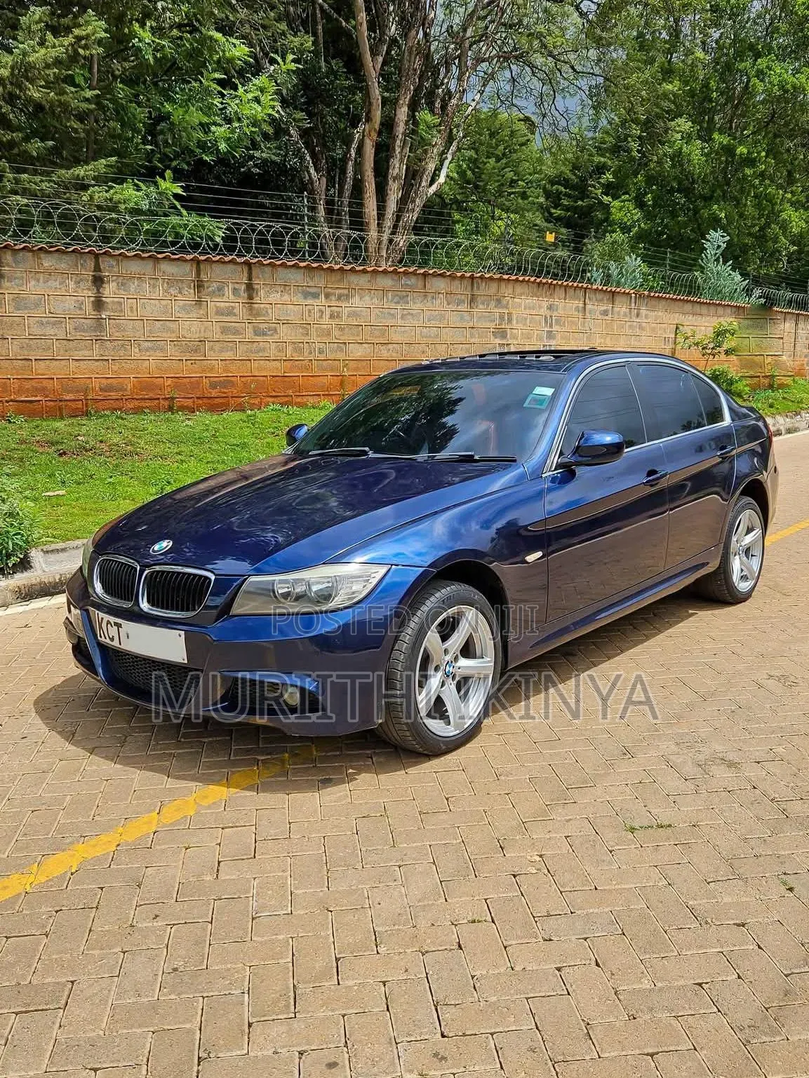BMW 318i 2011 Blue