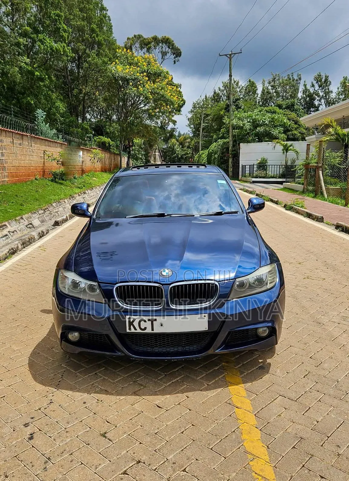 BMW 318i 2011 Blue