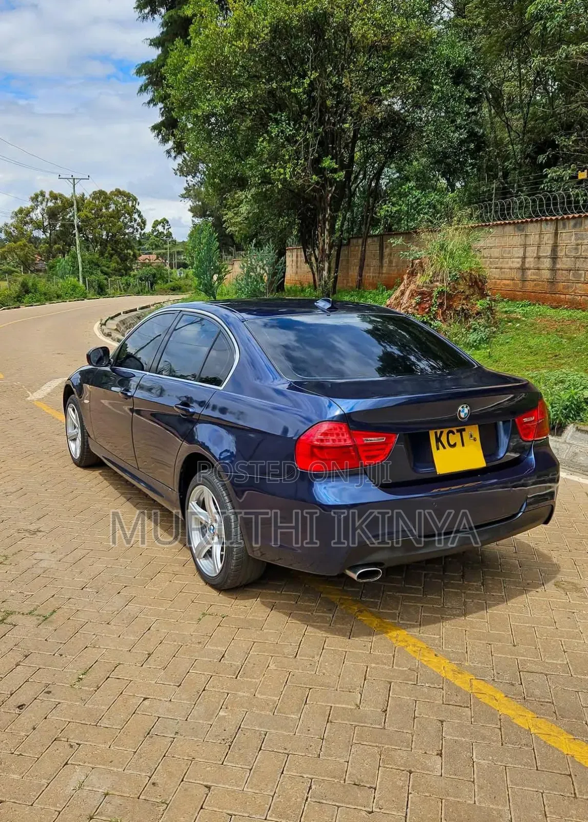BMW 318i 2011 Blue