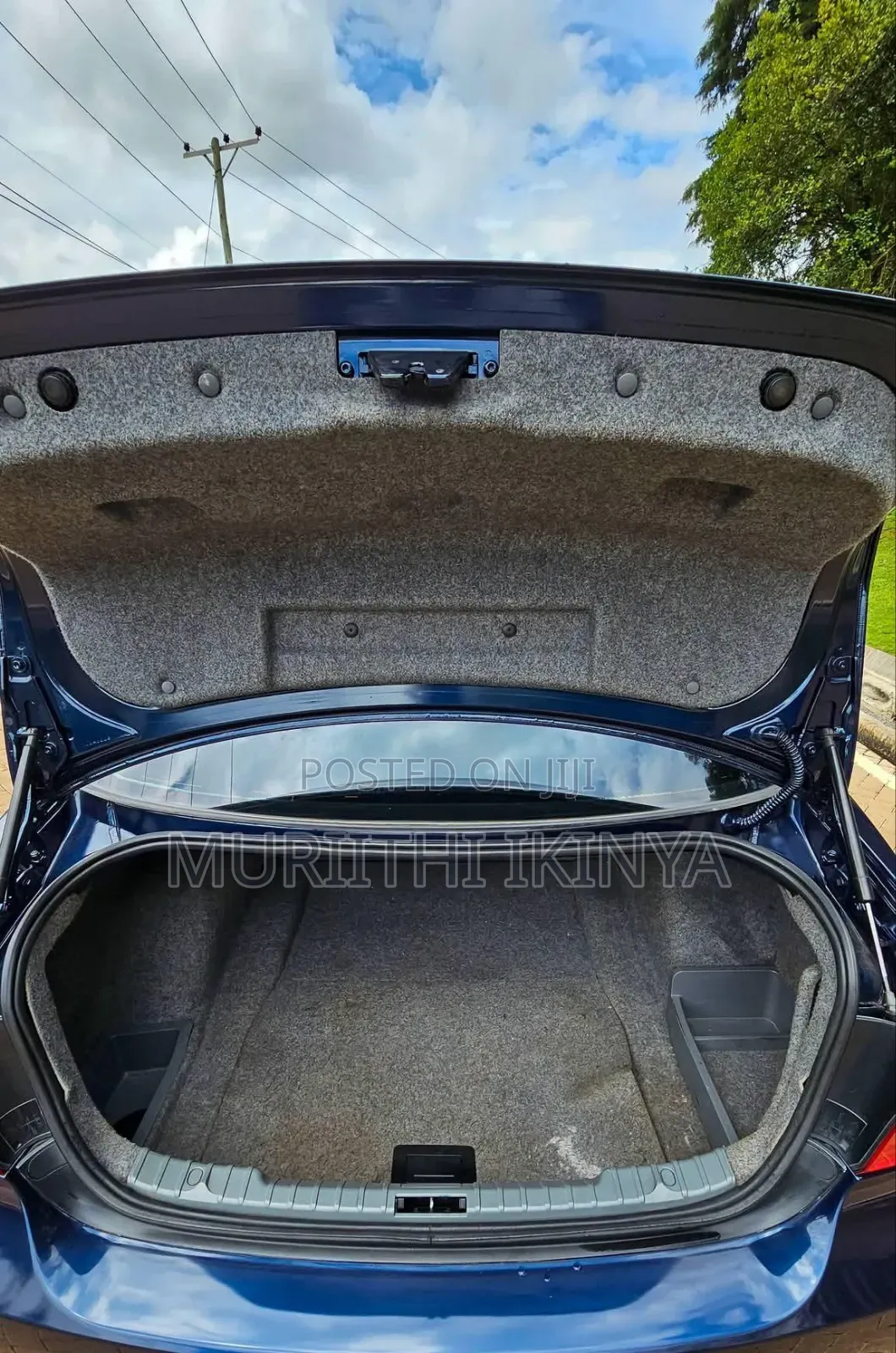 BMW 318i 2011 Blue