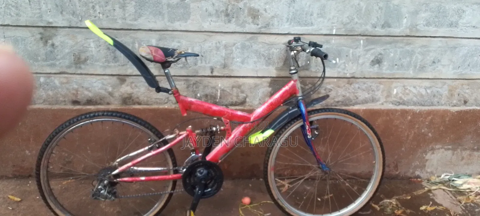 Phenix Bike