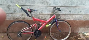 Phenix Bike