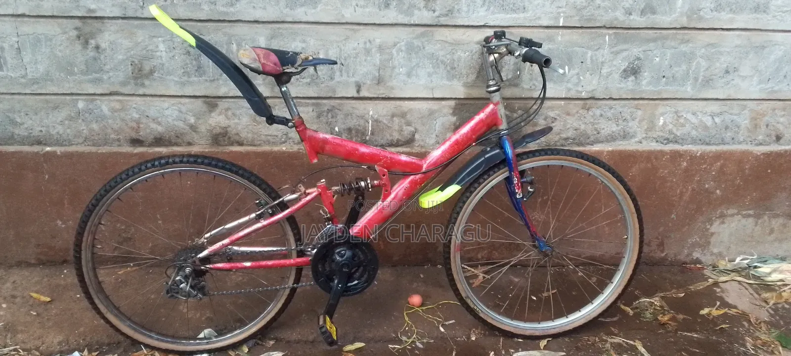 Phenix Bike