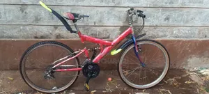 Phenix Bike