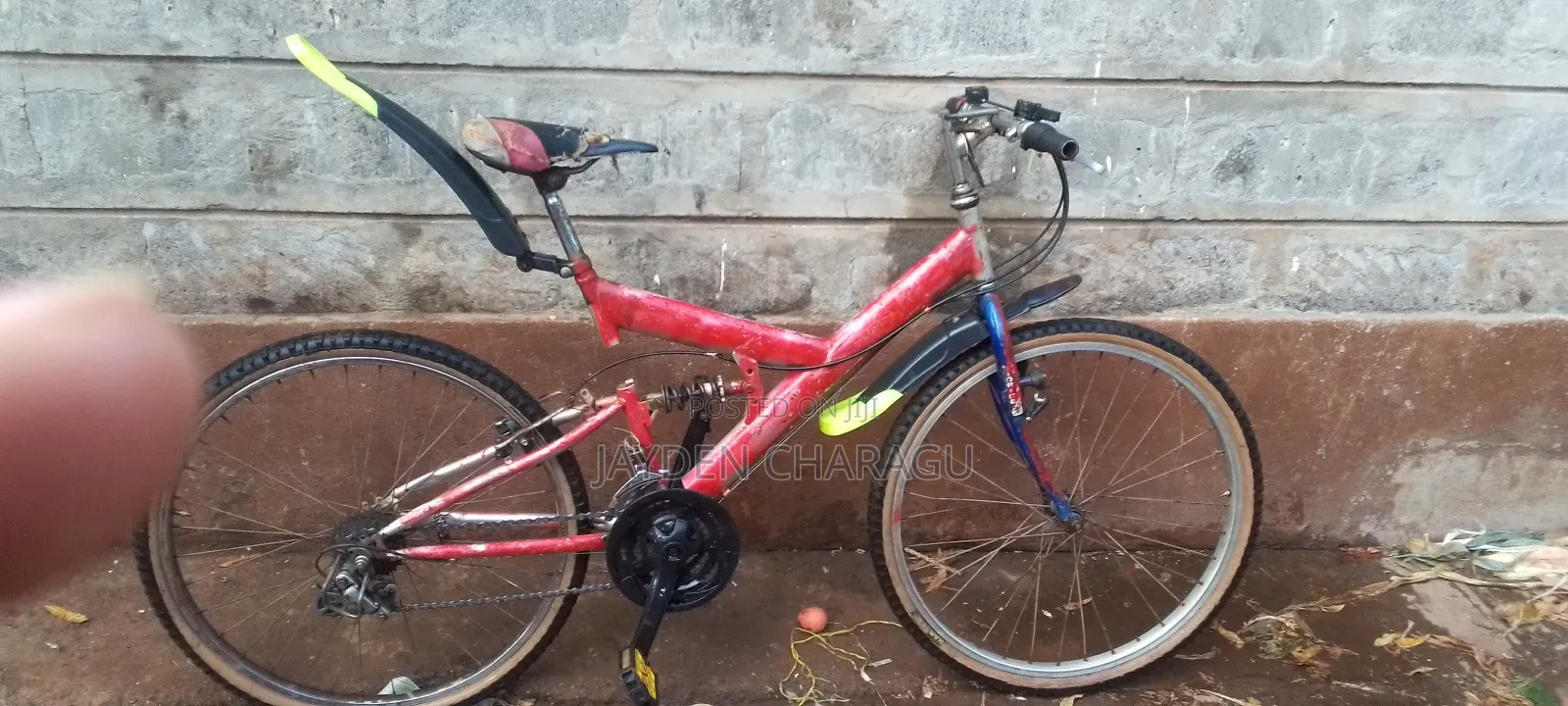 Phenix Bike