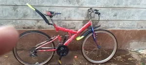 Phenix Bike