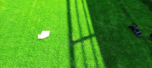 Soft Artificial Turf for Garden and Balcony Decoration