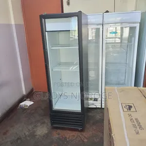 Medium Fregolex Display Fridge 300l