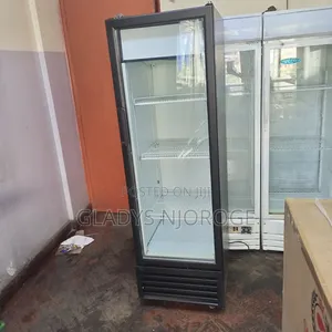 Medium Fregolex Display Fridge 300l
