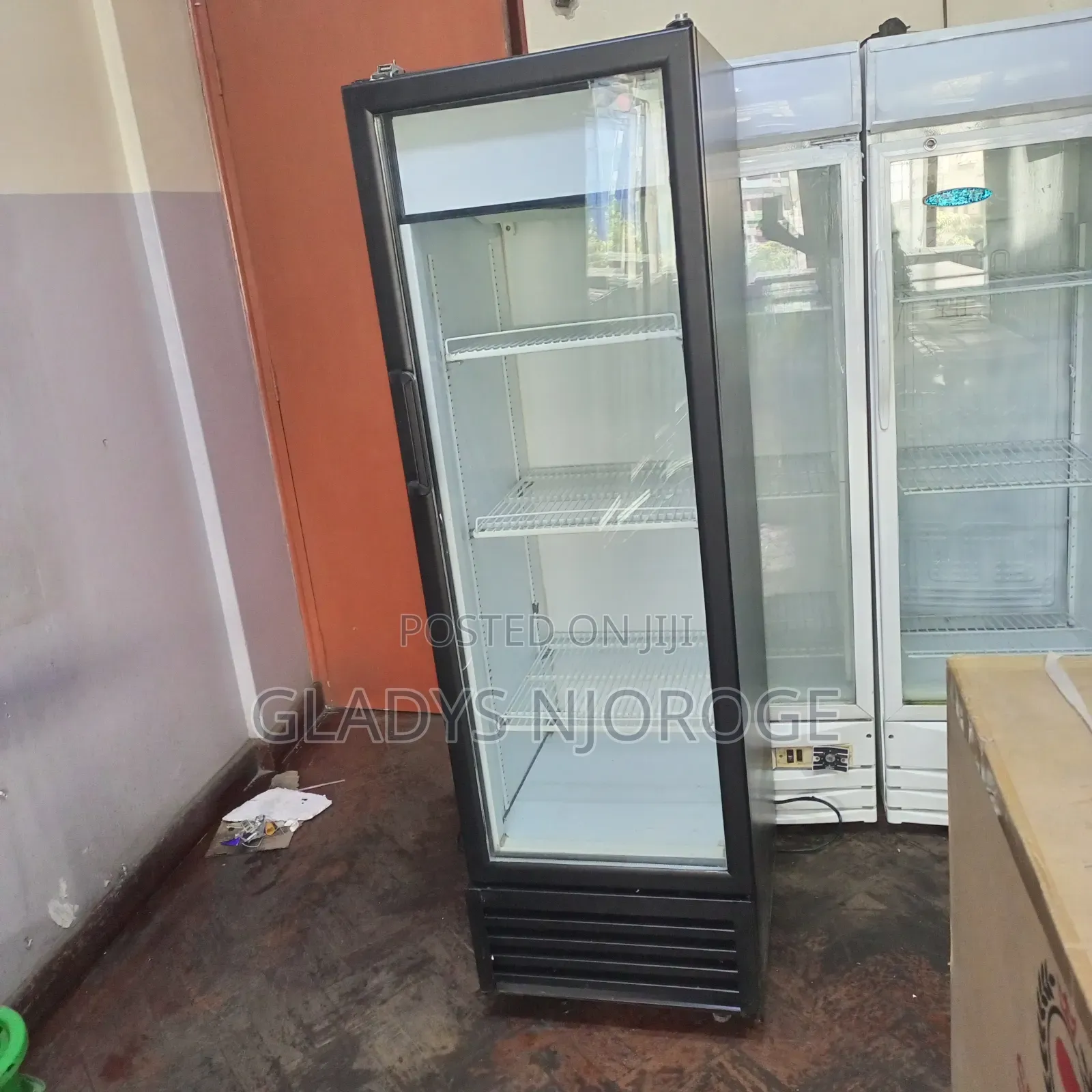 Medium Fregolex Display Fridge 300l