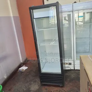 Medium Fregolex Display Fridge 300l