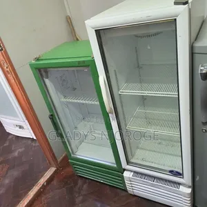 White Green Display Fridge