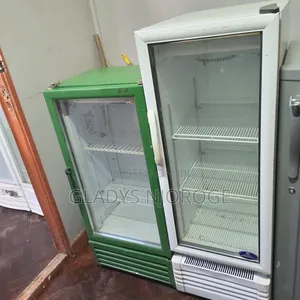 White Green Display Fridge