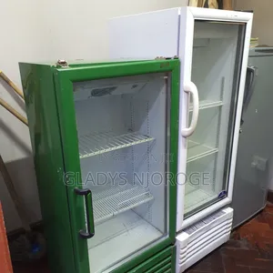 White Green Display Fridge