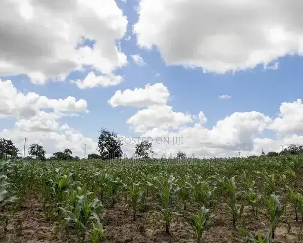 Shamba for Sale
