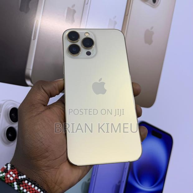 Apple iPhone 13 Pro Max 256 GB Gold