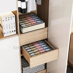 4 In 1 Under Garment Organizer
