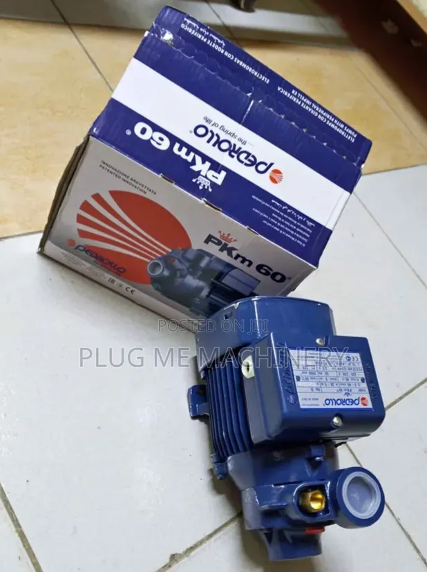 Recommended Pedrollo Water Pump0.5/ Electric Water Pump