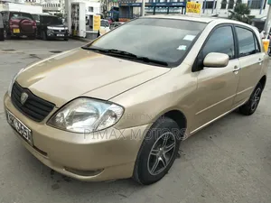 Toyota Allex 2002 Gold
