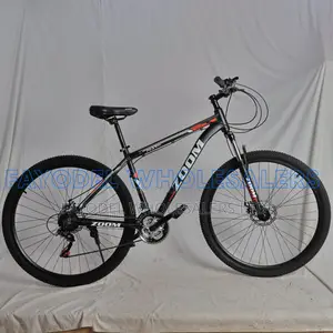 Zoom Premium 29-Inch Bicycle