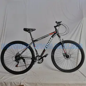 Zoom 29" Mountain Bicycle