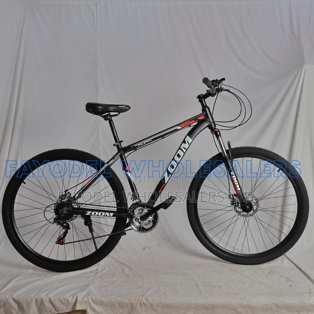 Zoom 29" Mountain Bicycle