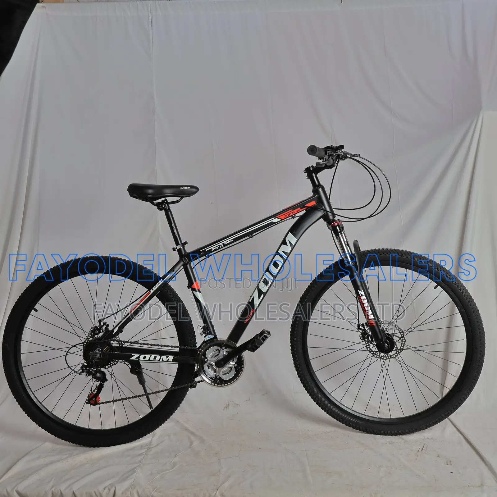 Zoom 29 Inch Sports Bike