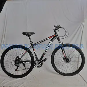 Zoom 29 Inch Sports Bike