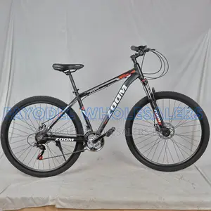 Zoom Adult Mountain Bike 29"